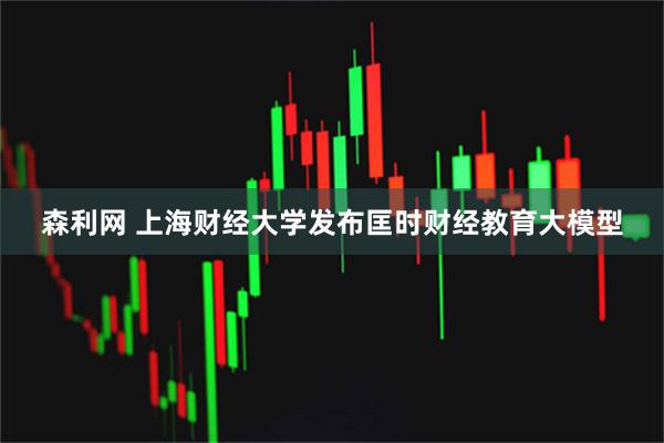 森利网 上海财经大学发布匡时财经教育大模型