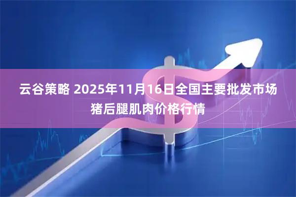 云谷策略 2025年11月16日全国主要批发市场猪后腿肌肉价格行情