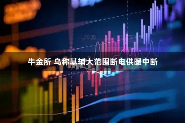 牛金所 乌称基辅大范围断电供暖中断