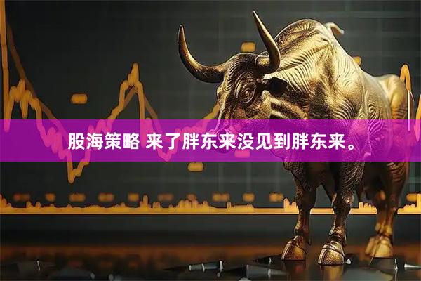 股海策略 来了胖东来没见到胖东来。